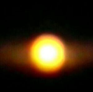 Meet your Posher, Todd